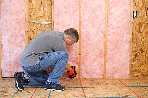 Insulation Air Sealing in Lake Of The Woods, VA